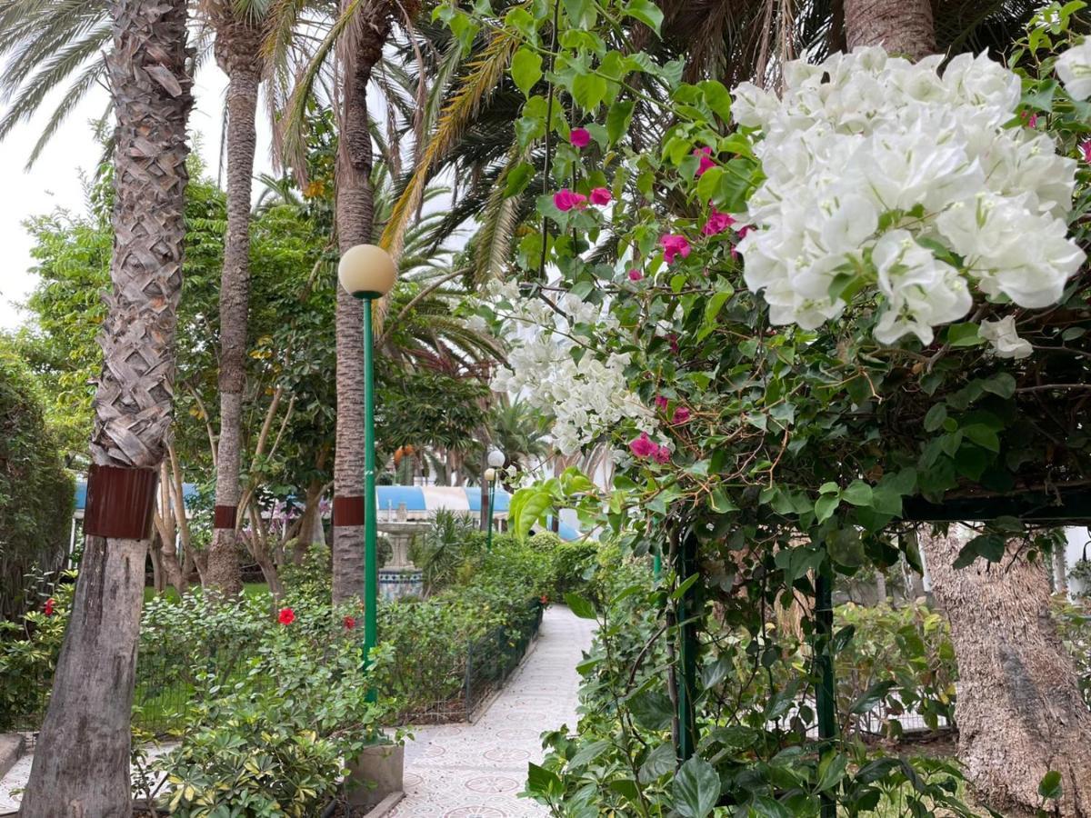 Surycan Tropical Garden Apartment Плайя-дель-Инглес Экстерьер фото